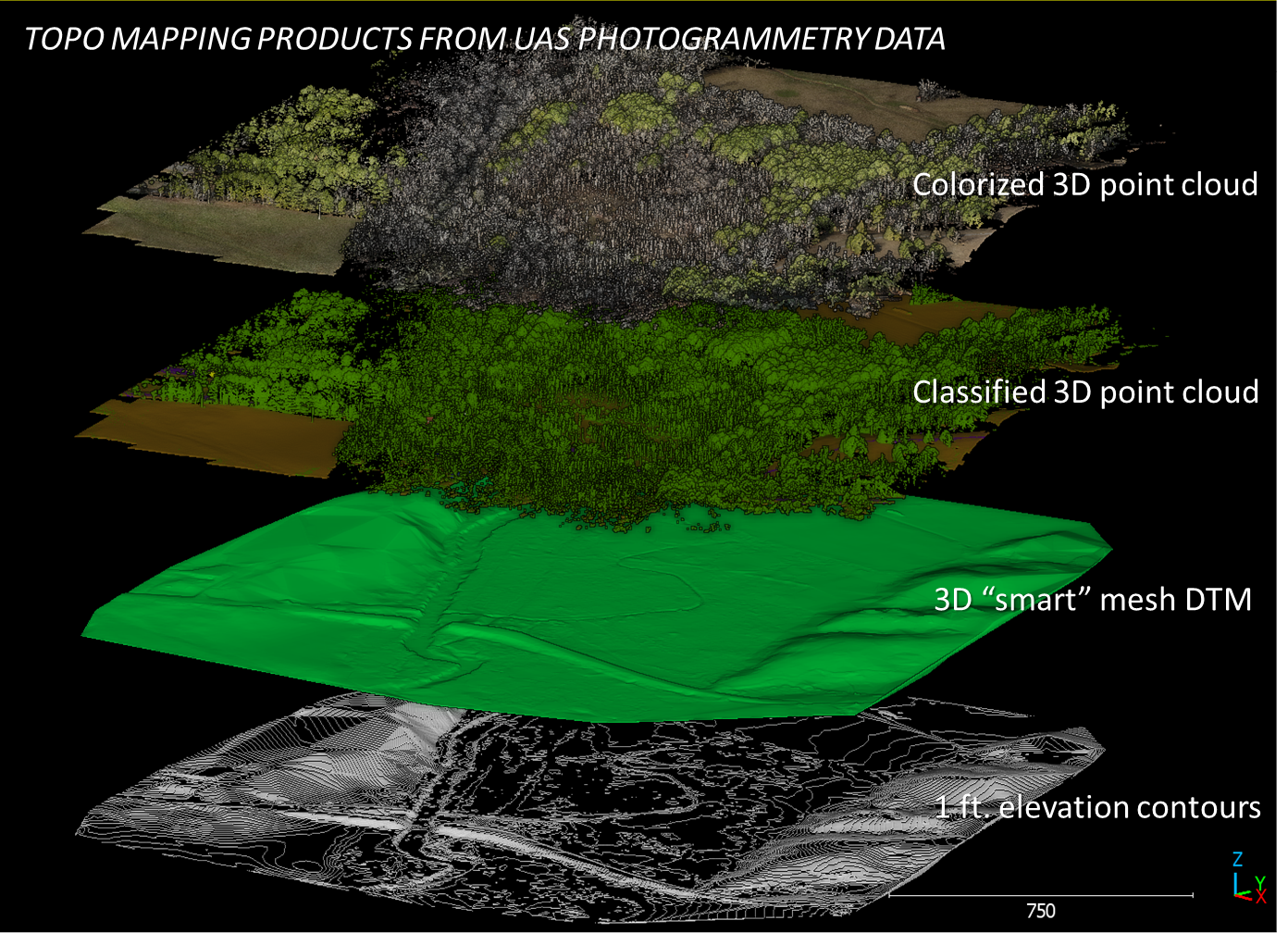 Case Studies & Project Highlights